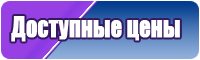 Лонгсливы женские